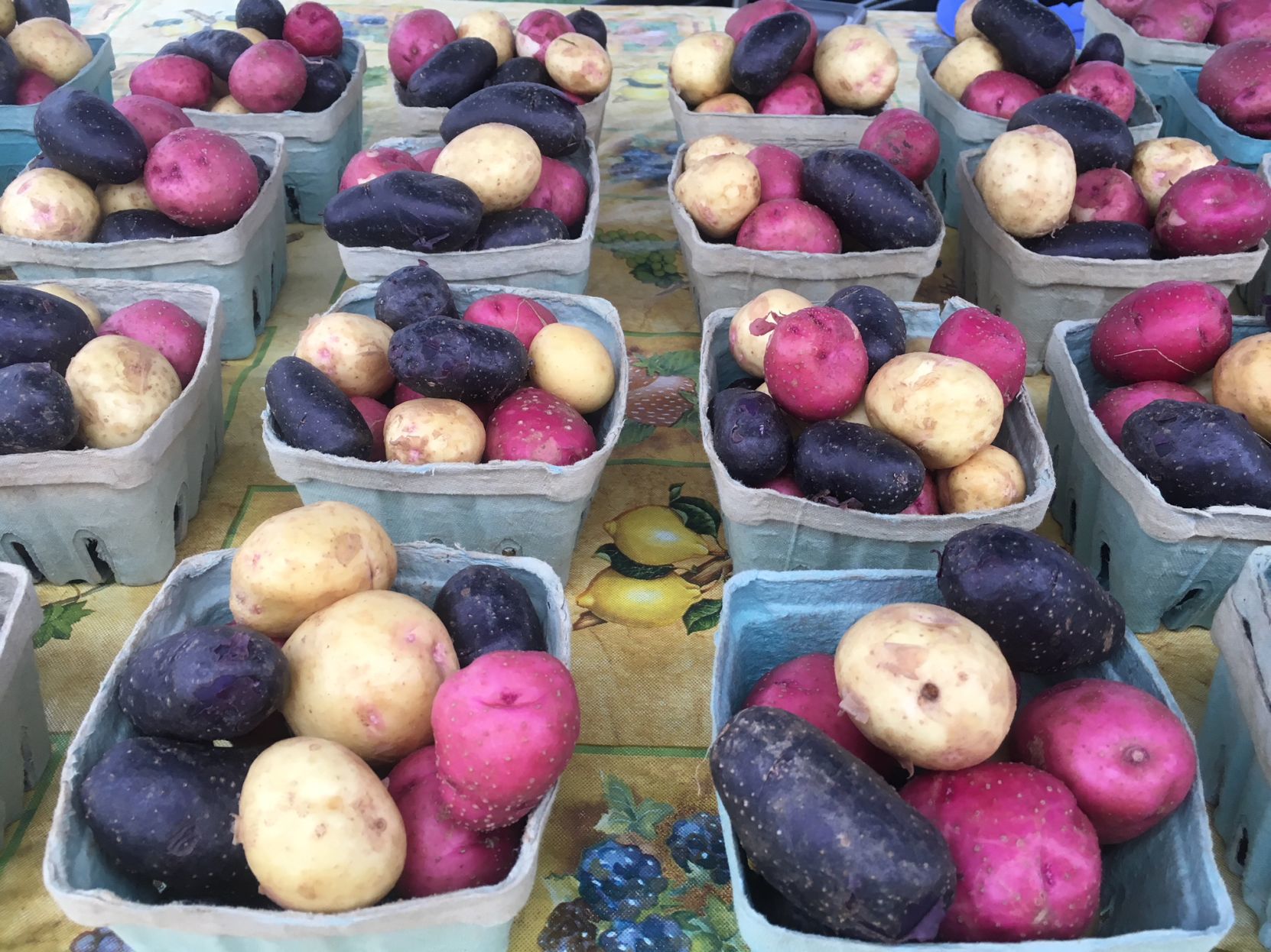 Farmers market survey